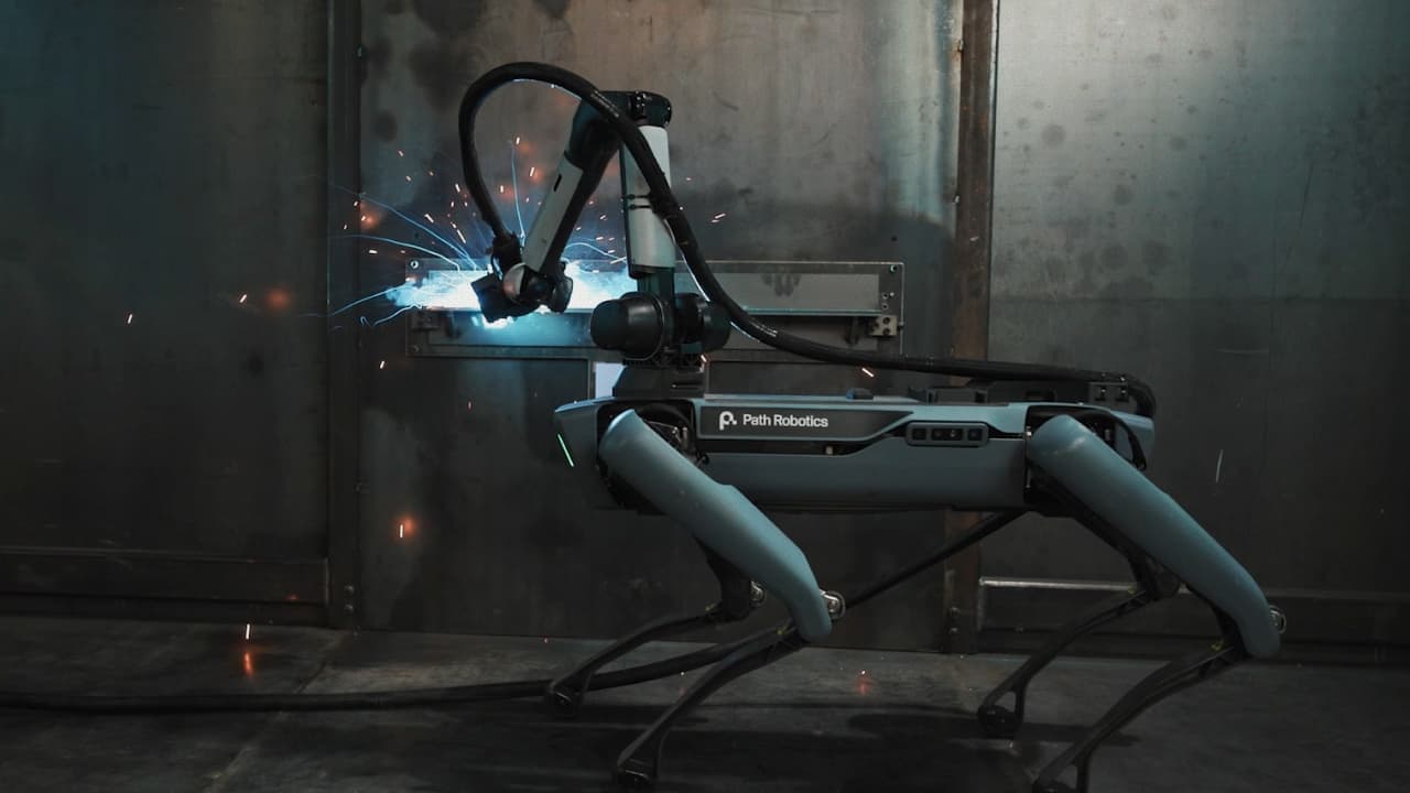 Rove mobile welding robot